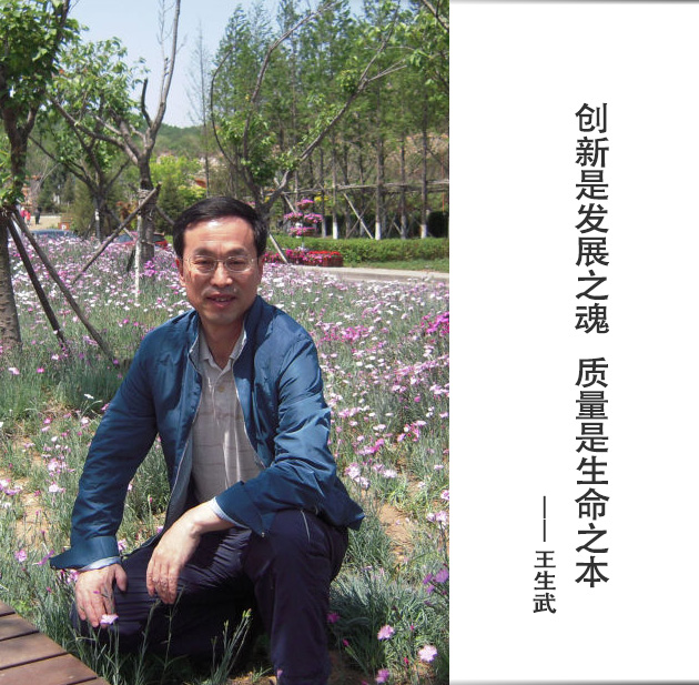 封面-王生武-文字.jpg
