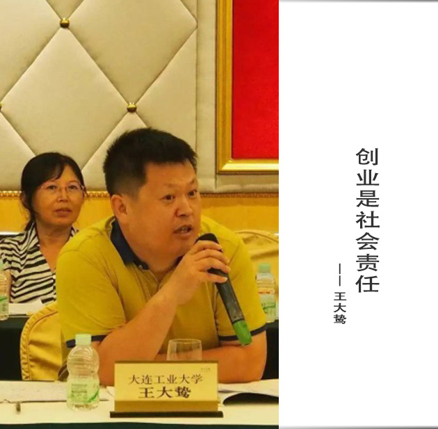 封面-王大鸷-文字.jpg